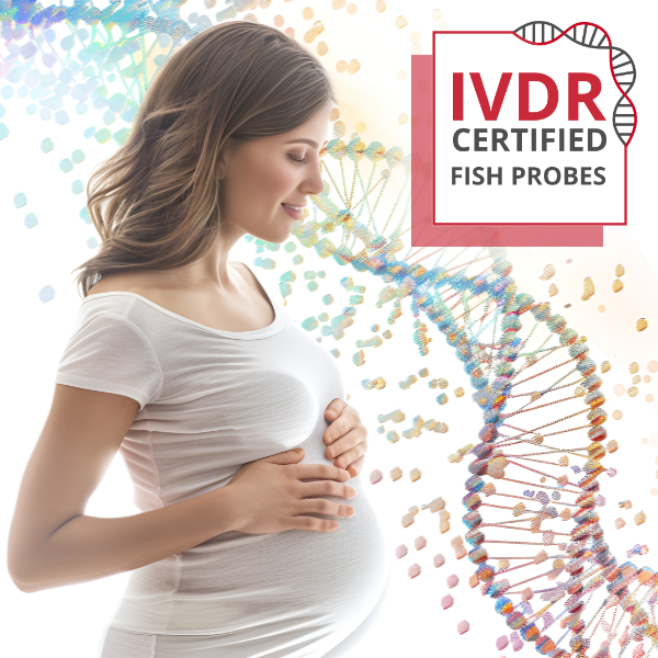 Our Complete Set of XA Aneusomy Probes for Prenatal Testing Is IVDR Certified. Our Complete Set of XA Aneusomy Probes for Prenatal Testing Is IVDR Certified.